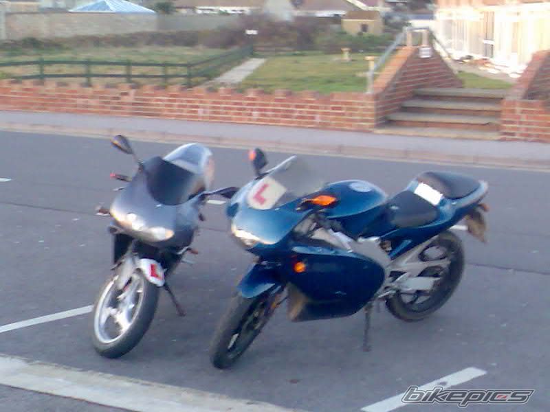 Photo 1168937