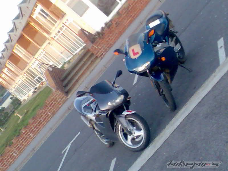 Photo 1168938