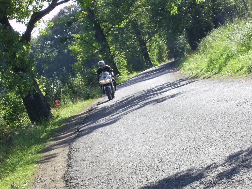 Photo 1168982