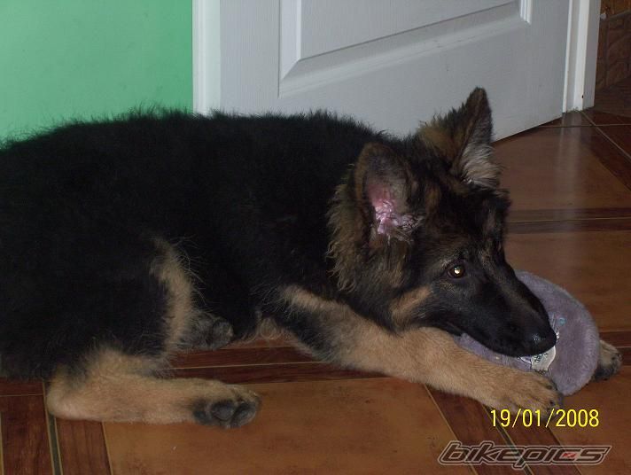 Photo 1169073