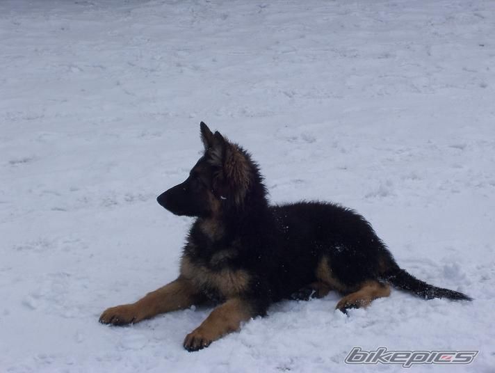 Photo 1169074