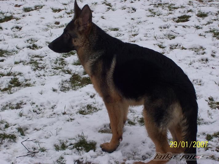 Photo 1169075