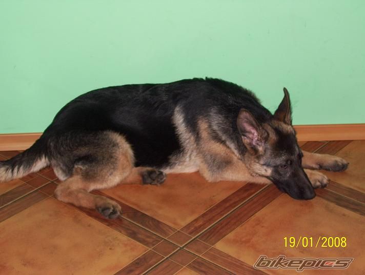Photo 1169080