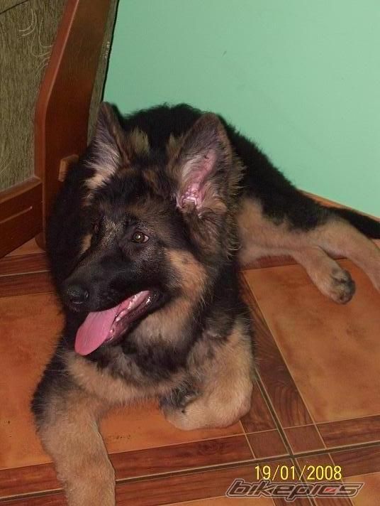 Photo 1169081