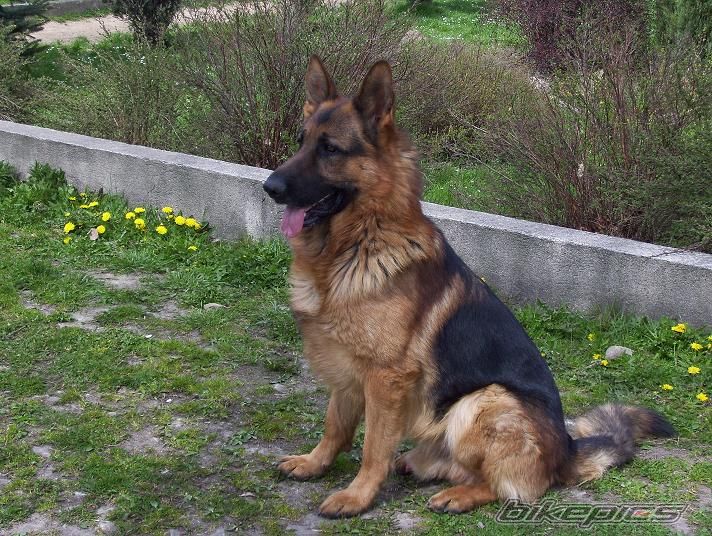Photo 1169095