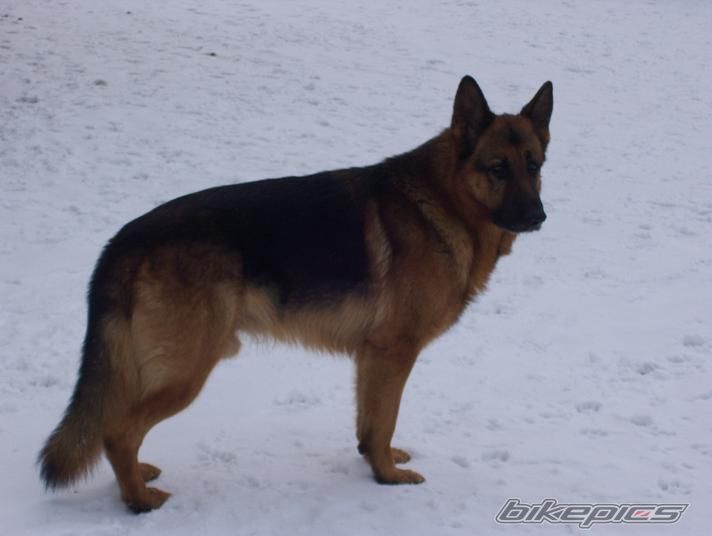 Photo 1169097
