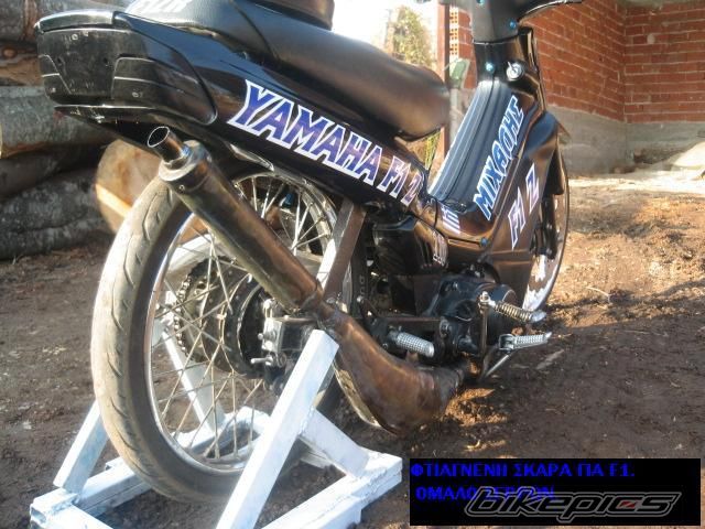 Photo 1169726