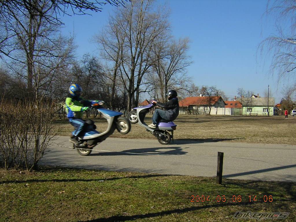 Photo 116978