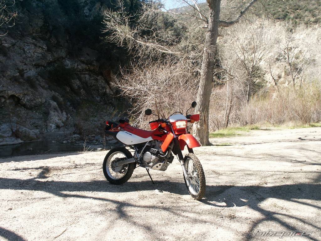 Photo 116979