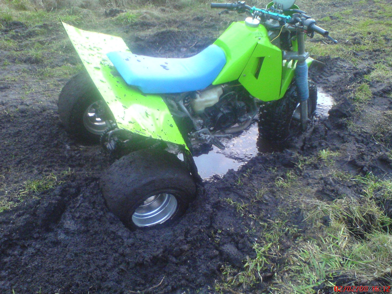 Photo 1170241