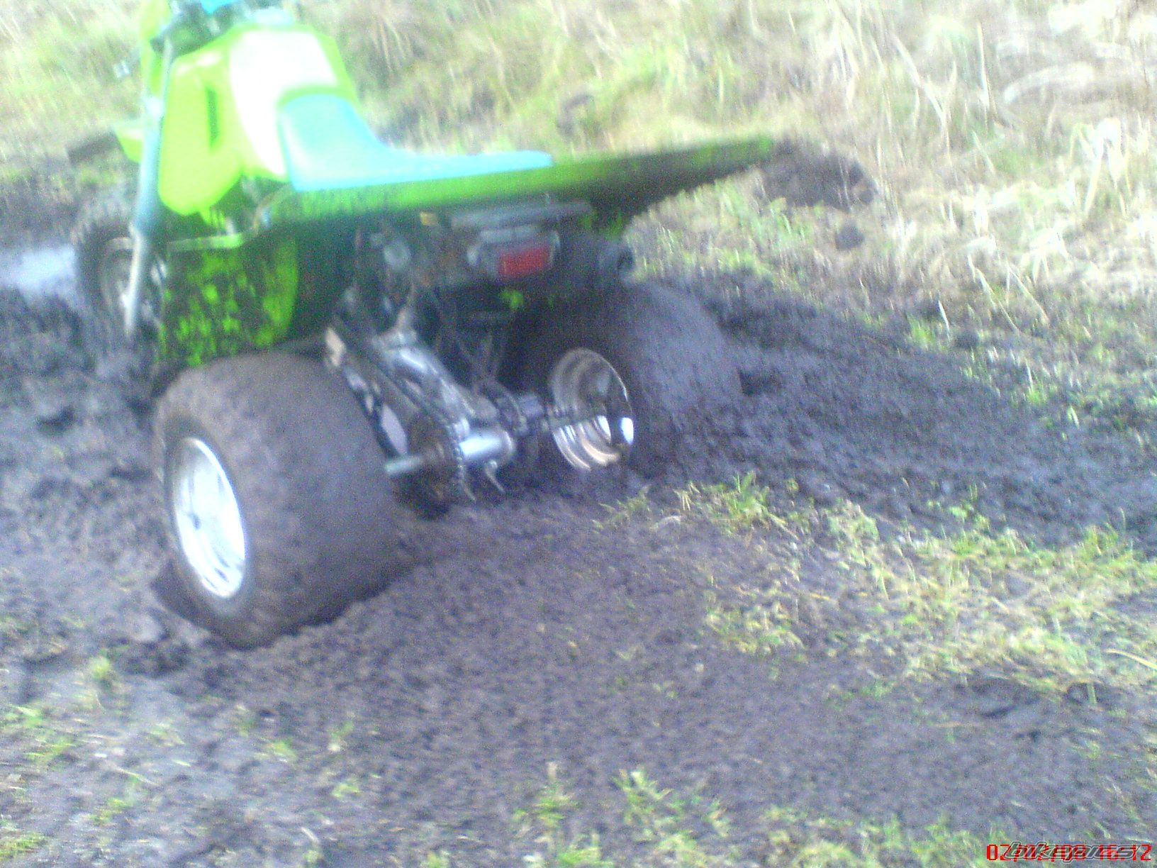 Photo 1170246