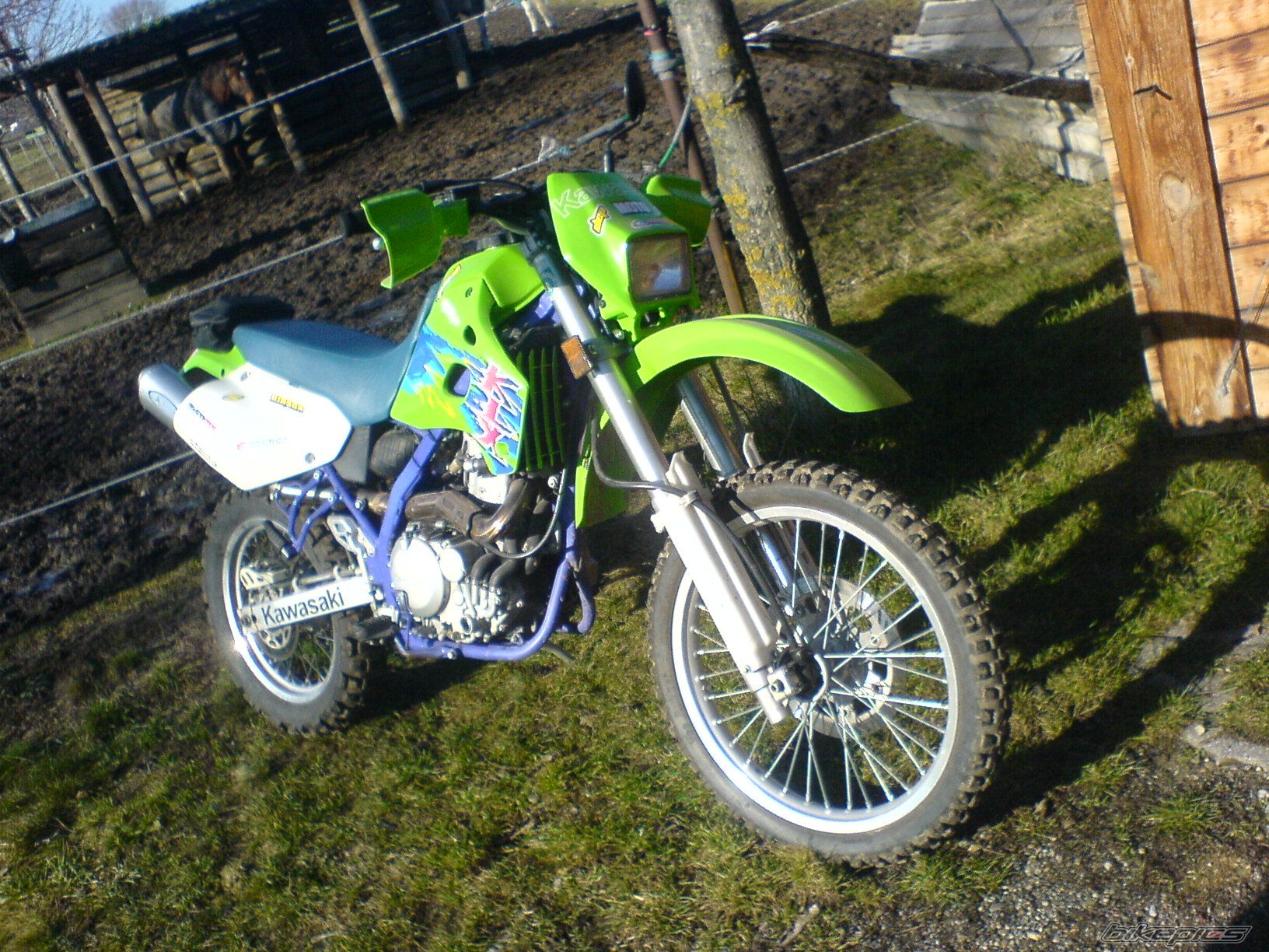 Photo 1170271