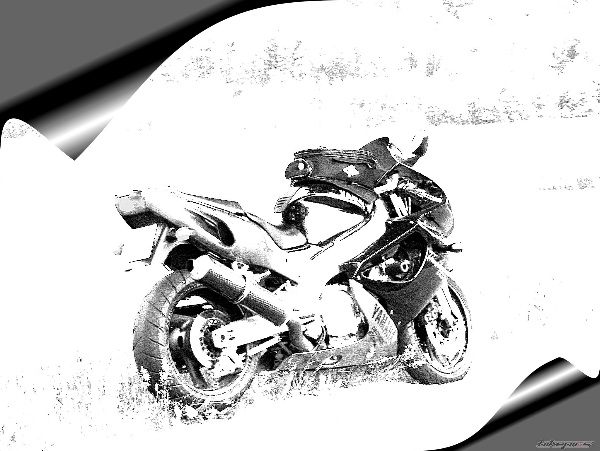 Photo 1170324