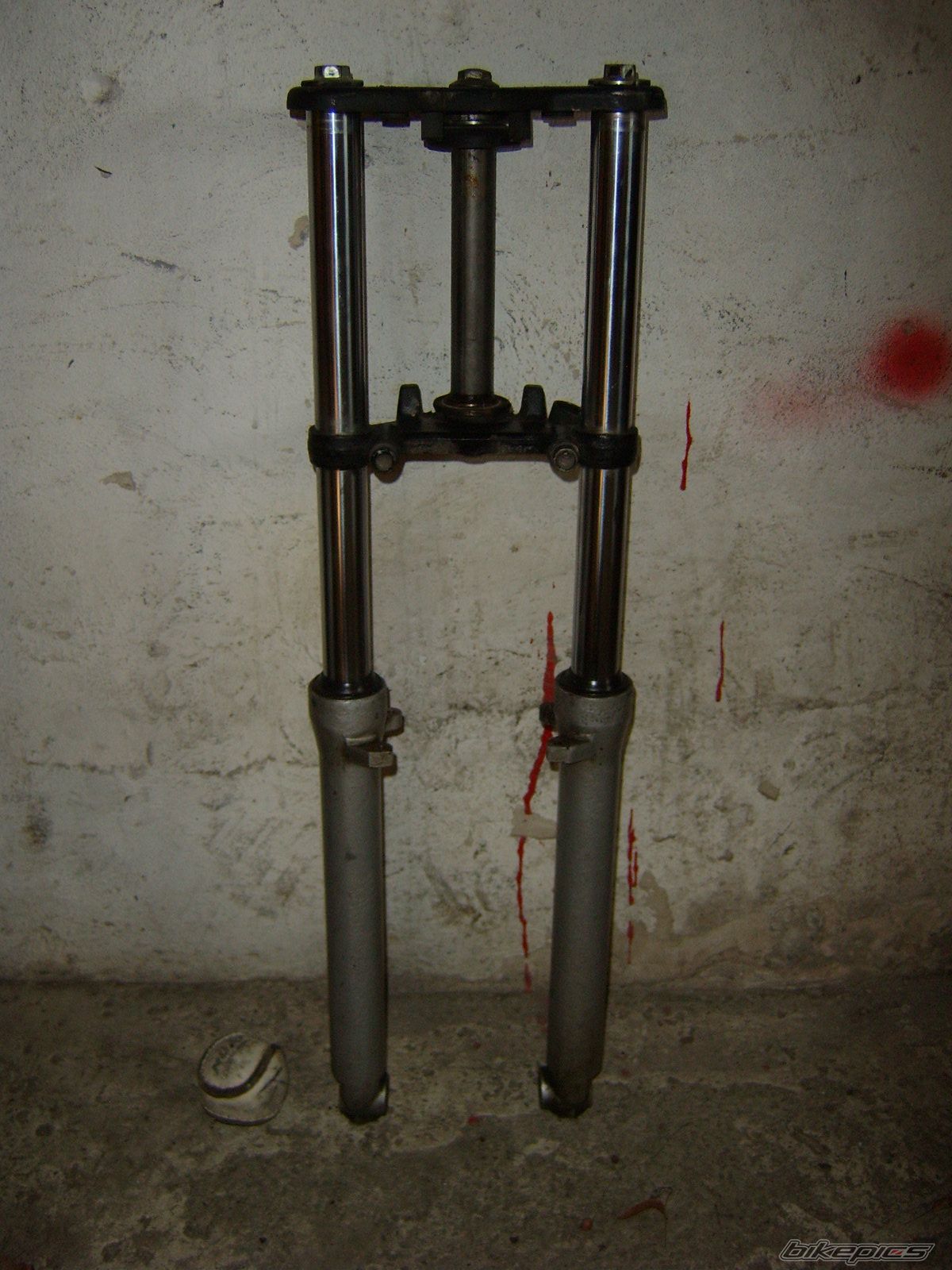 Photo 1170353