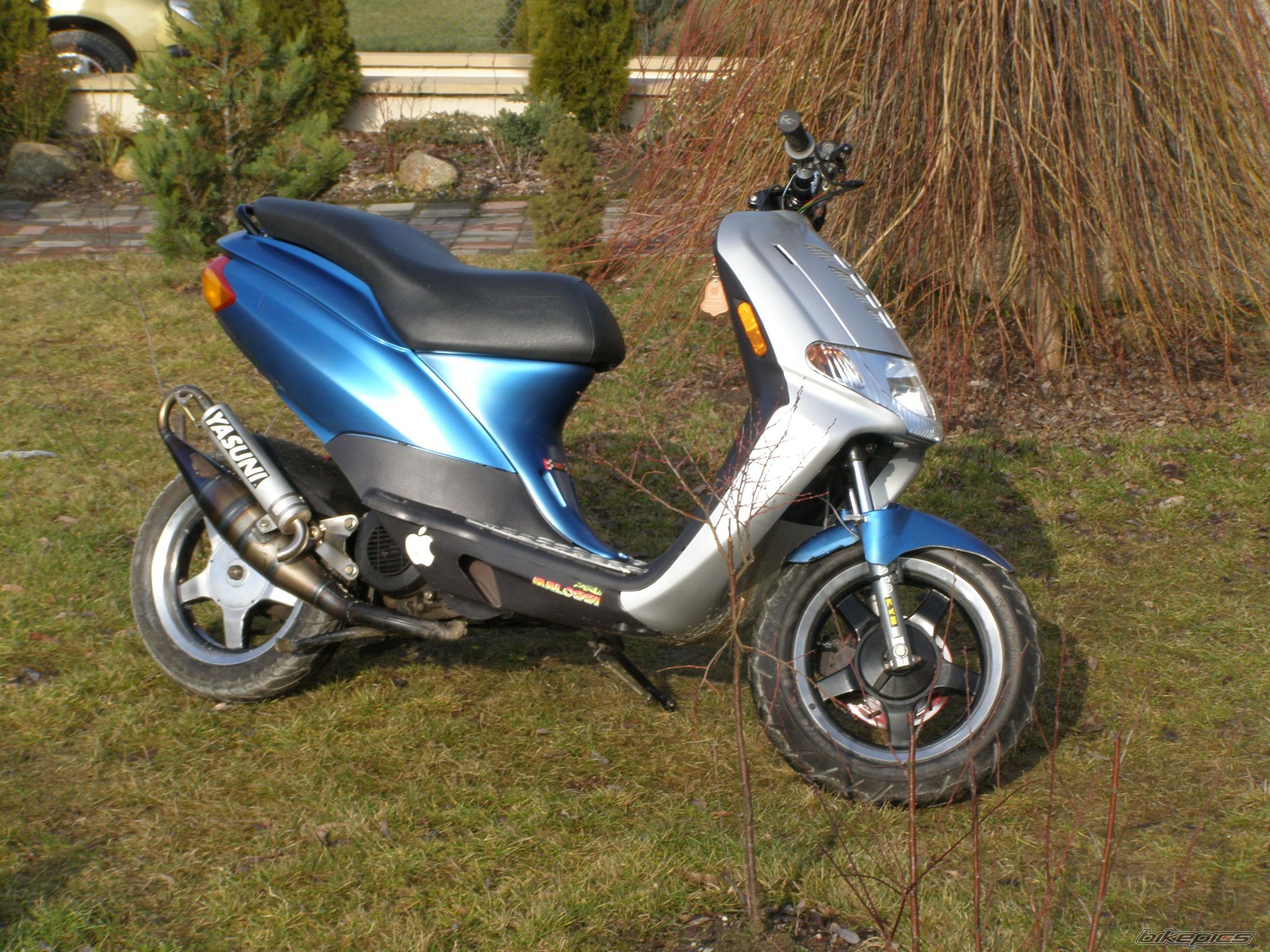 Photo 1170375