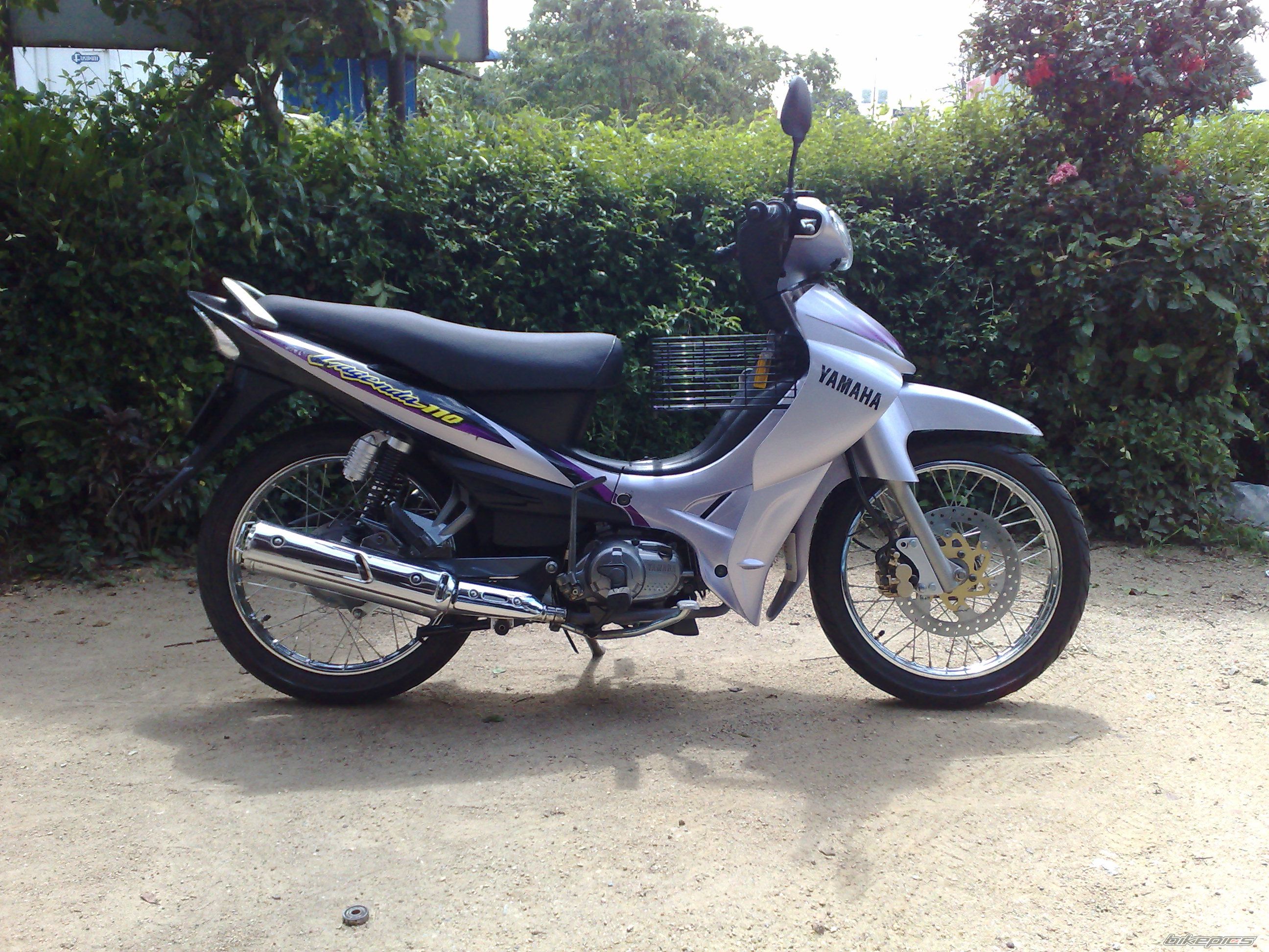 Photo 1170387