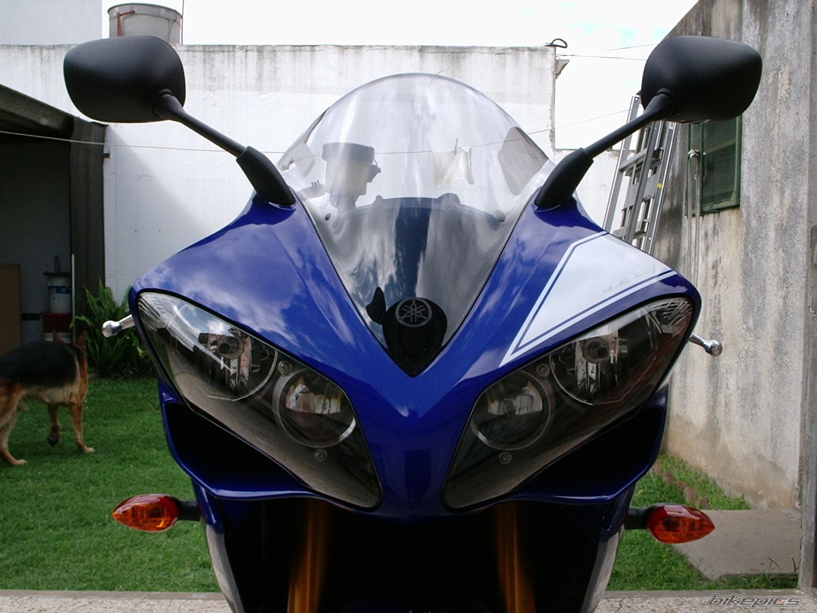 Photo 1170853