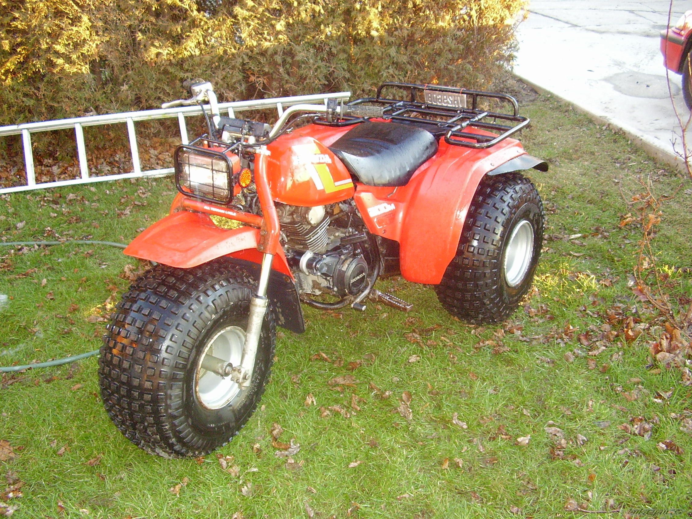 Photo 1170997