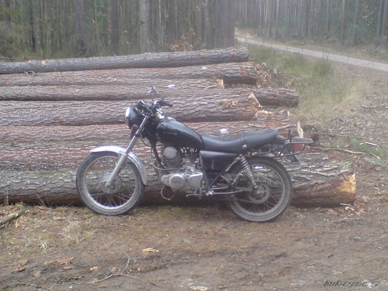 Photo 1171227