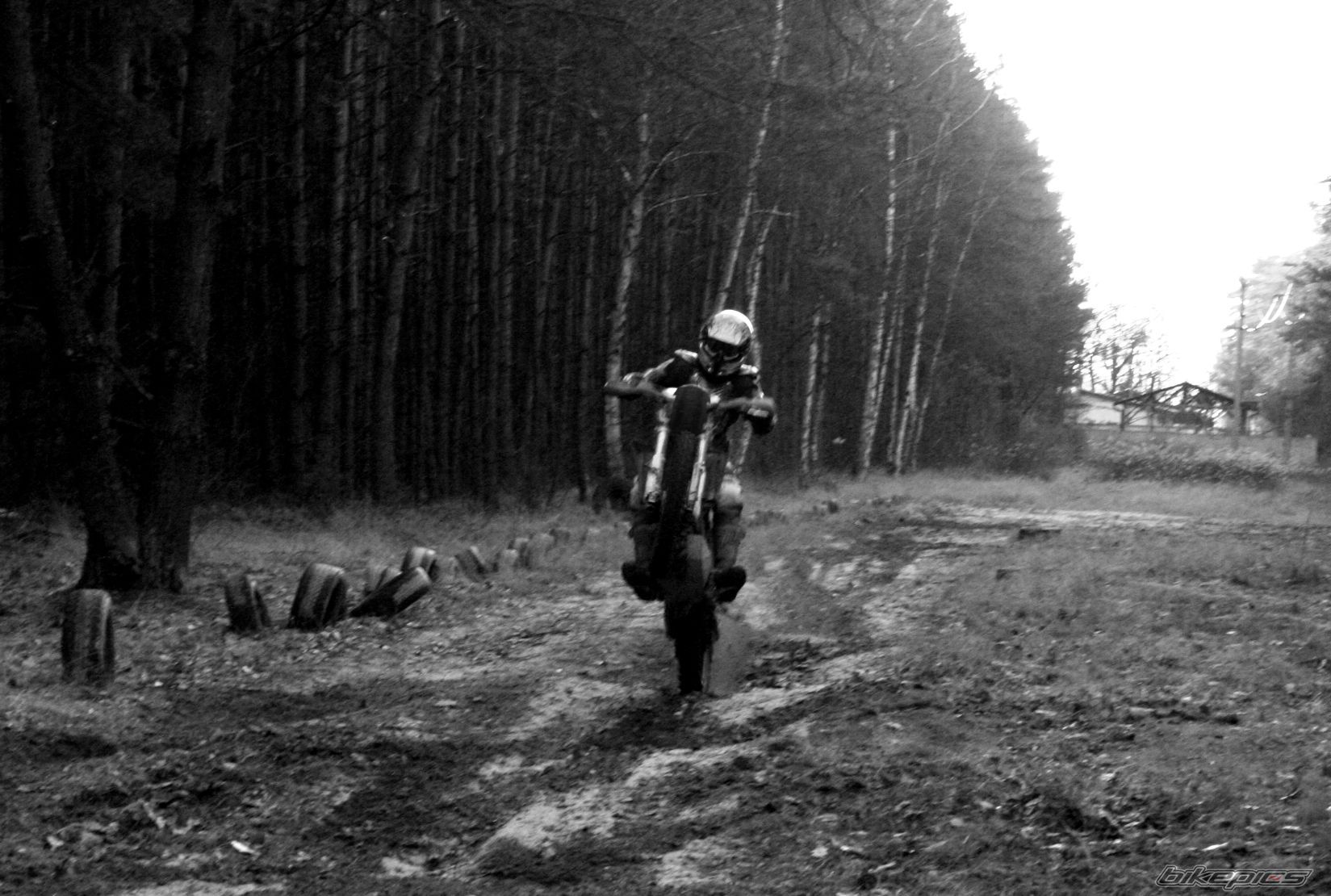 Photo 1171287