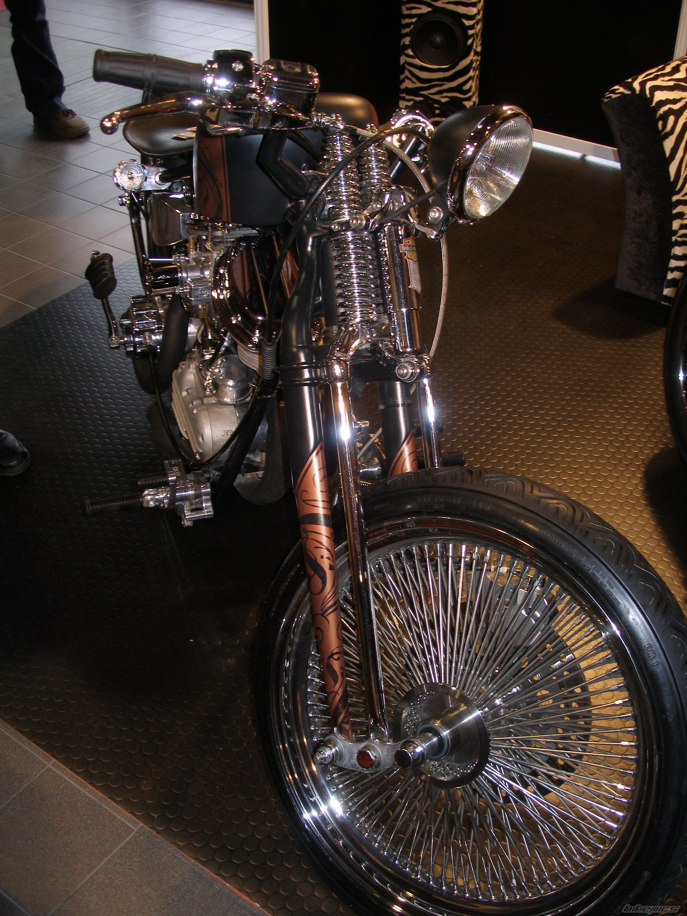 Photo 1171493
