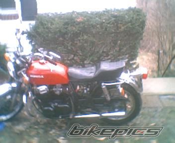 Photo 1171504