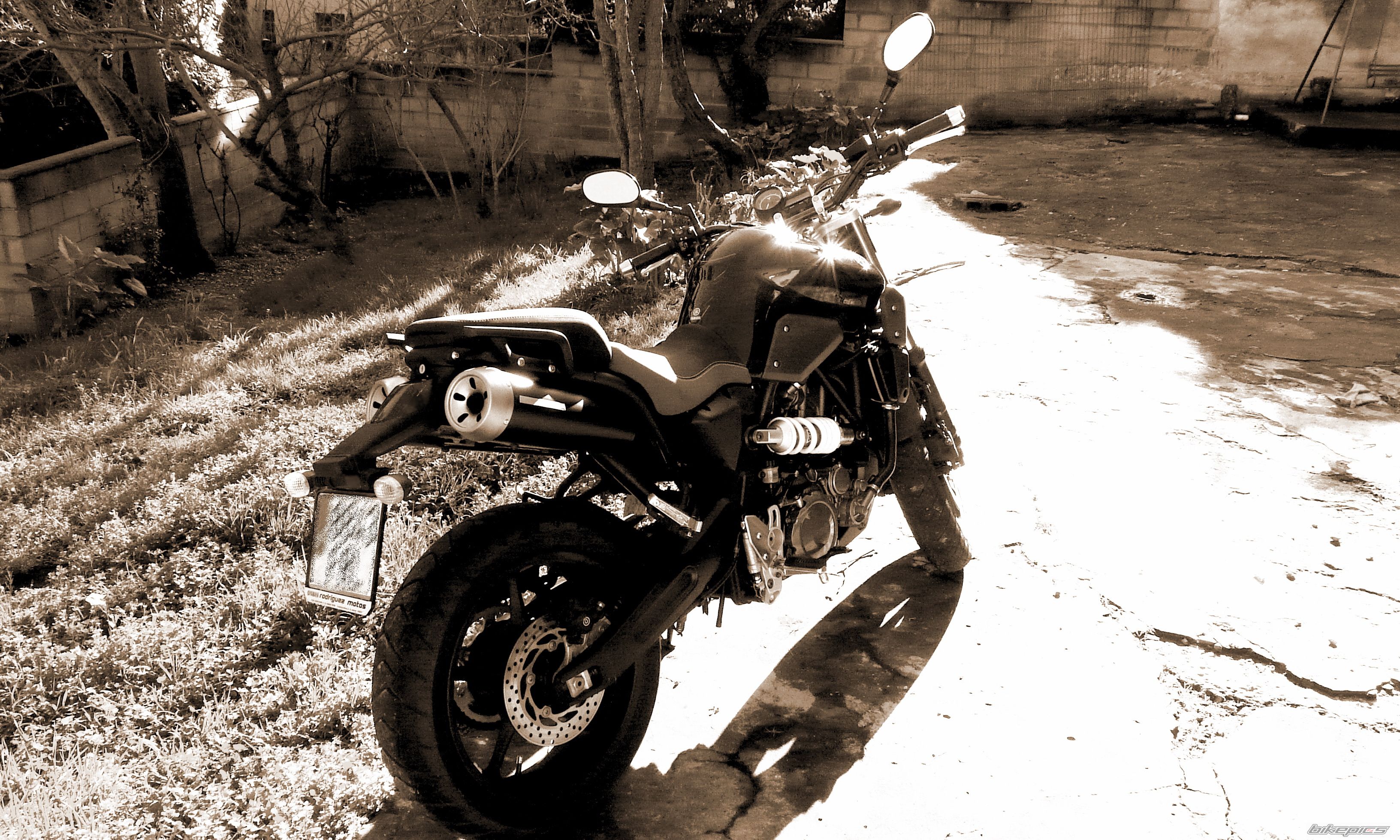 Photo 1171561