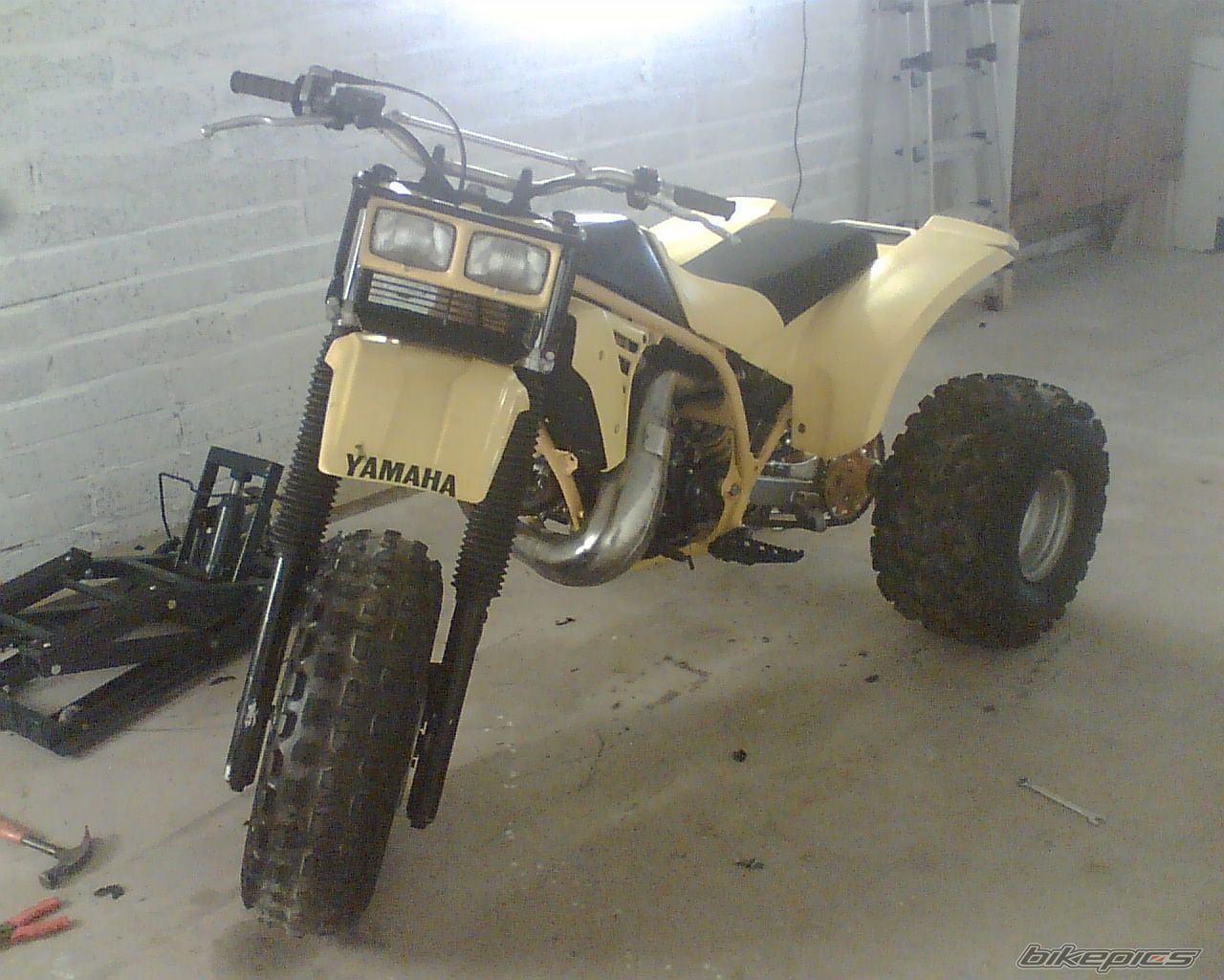 Photo 1171594