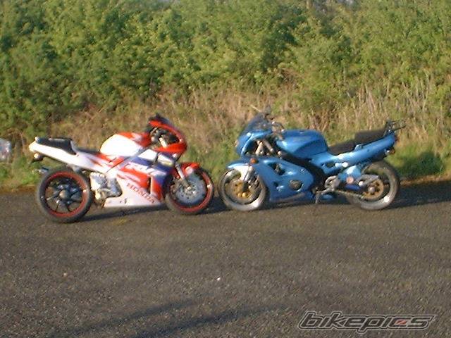 Photo 117176