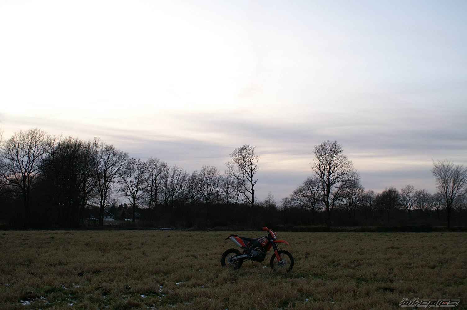 Photo 1171861