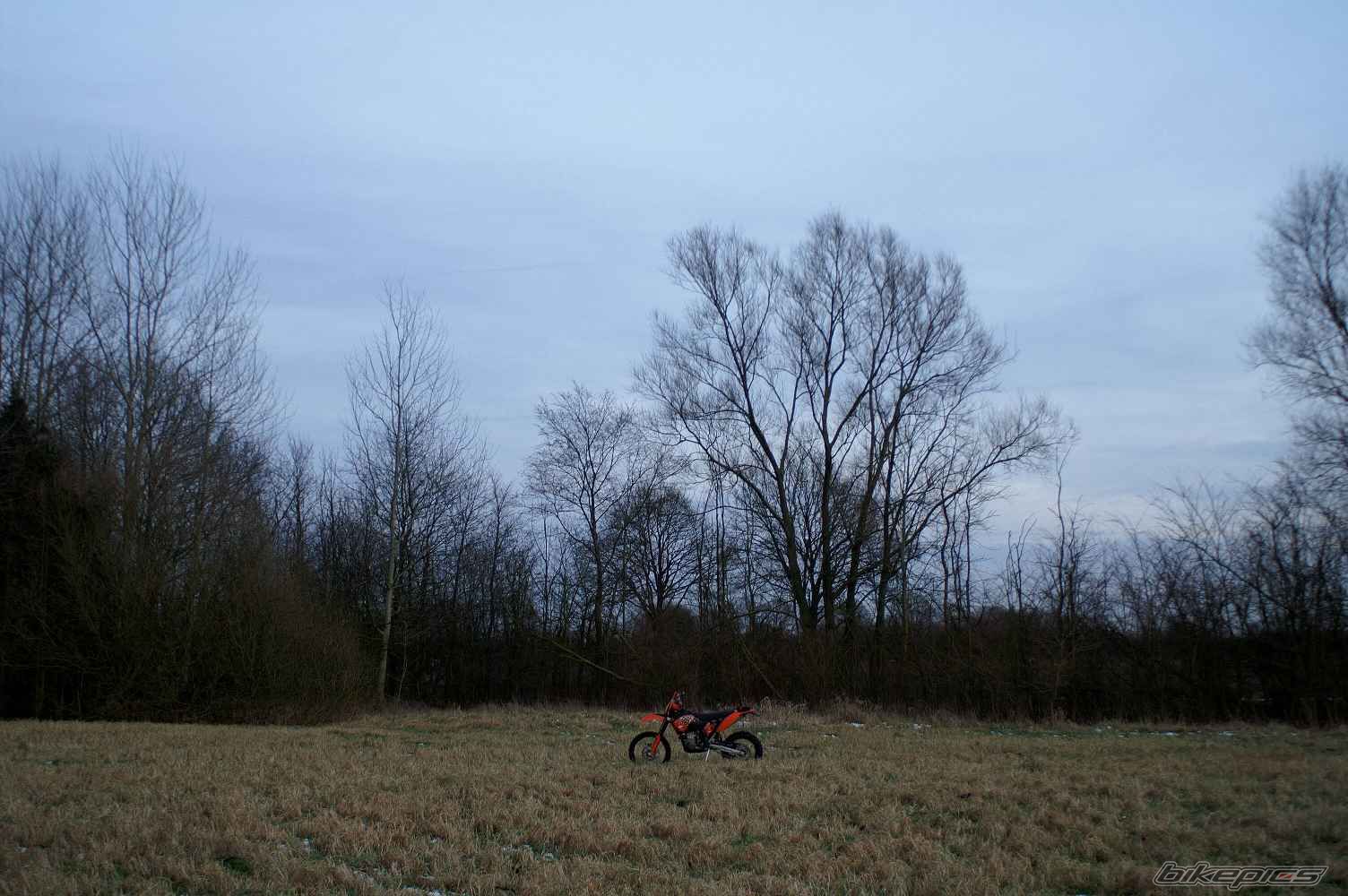 Photo 1171862