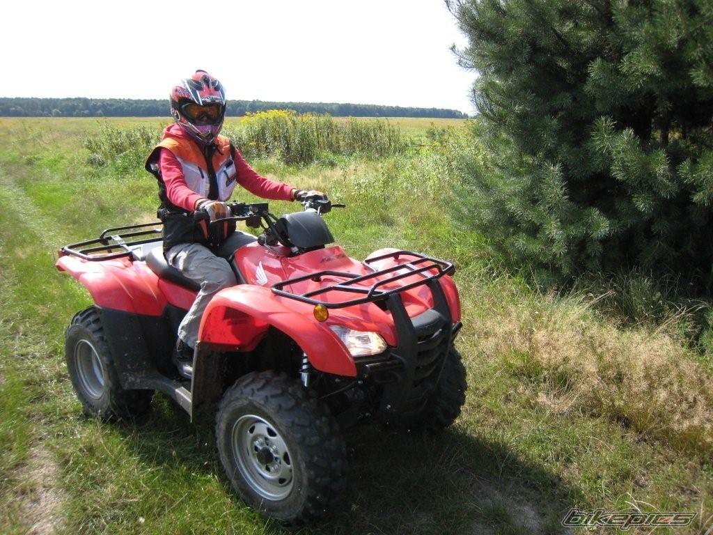 Photo 1171868