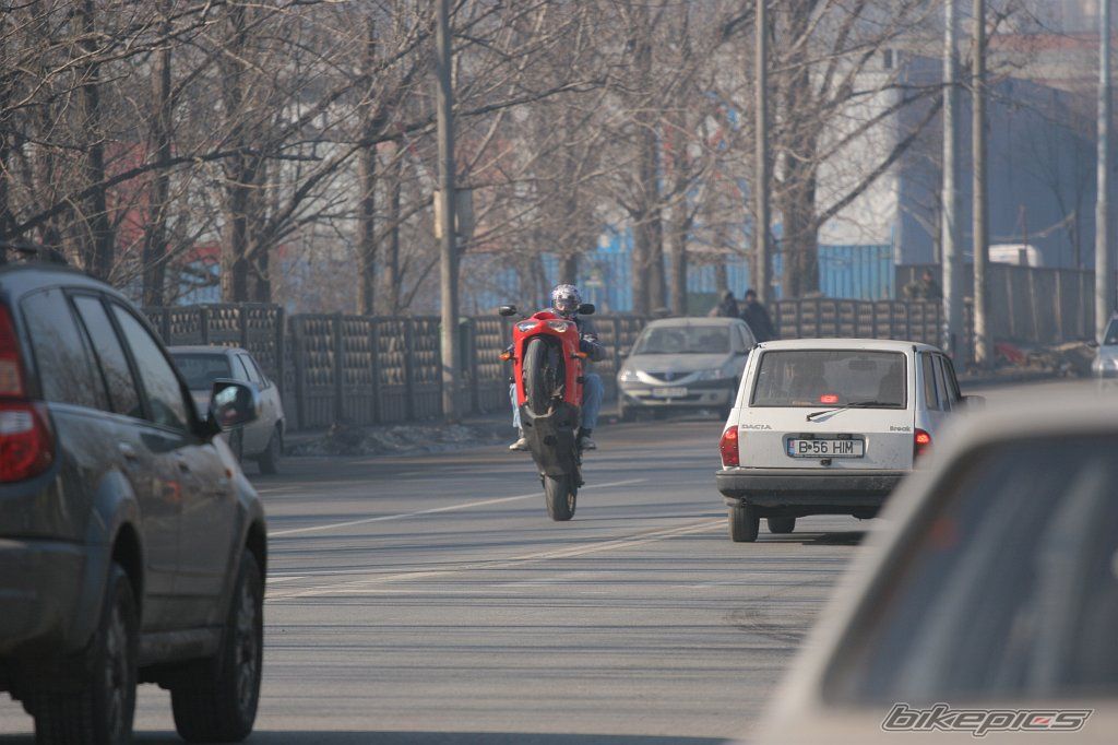 Photo 1171874