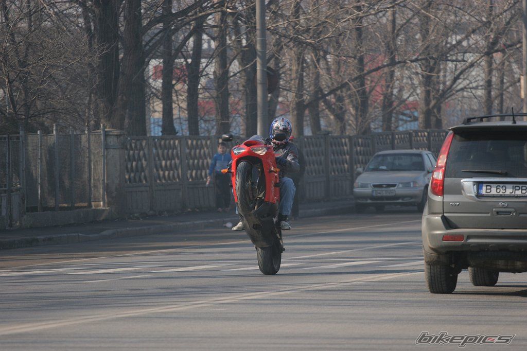 Photo 1171875