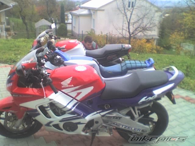 Photo 1172116