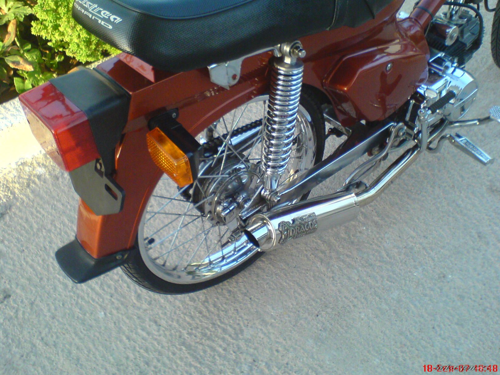 Photo 1172135