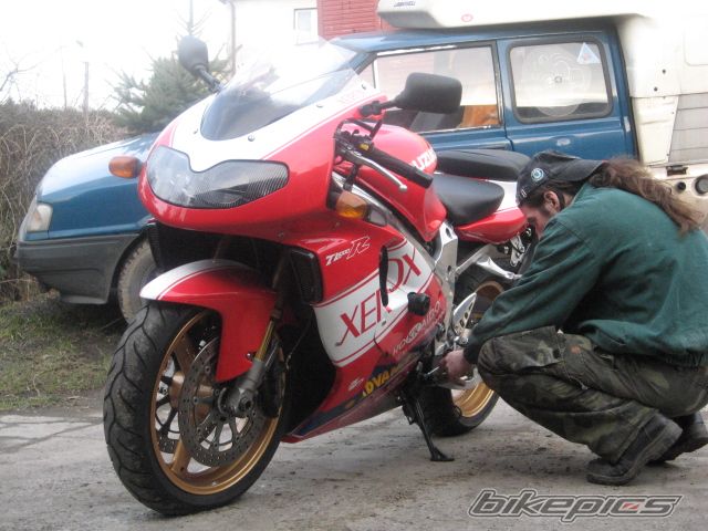 Photo 1172136