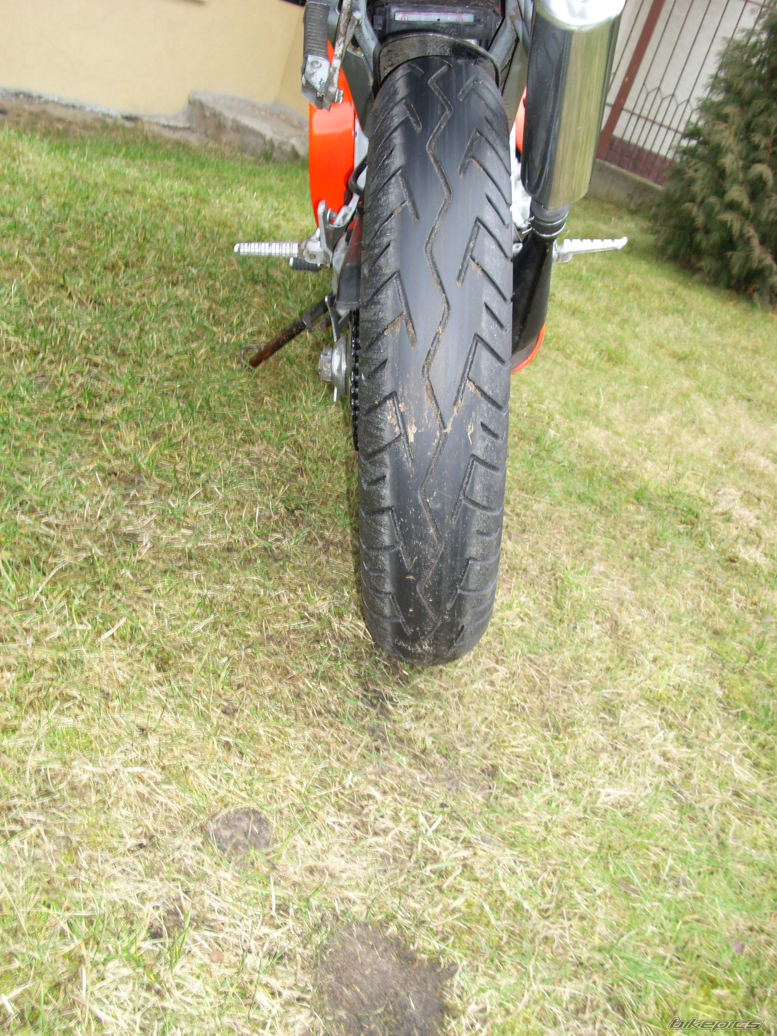 Photo 1172140