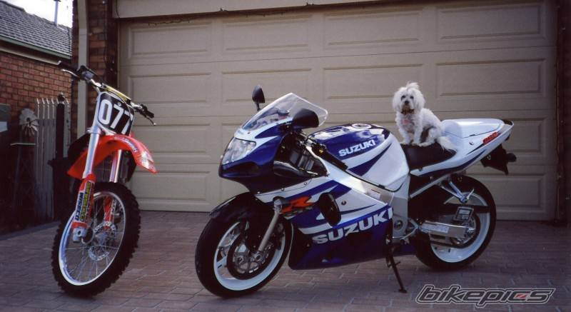 Bike Photo 117215