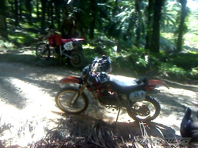 Photo 1172167