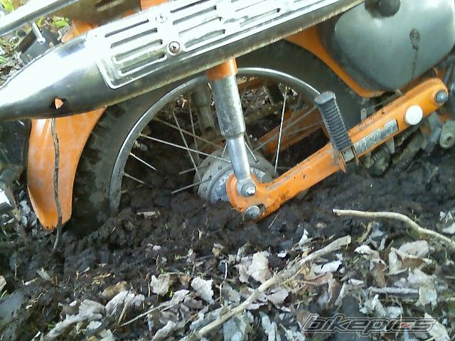 Photo 1172201