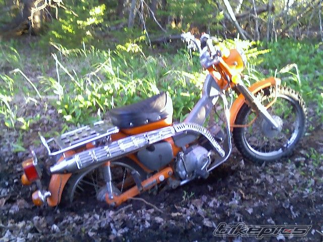 Photo 1172203