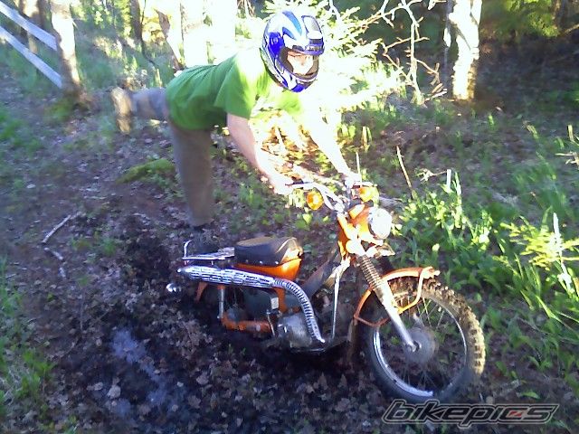 Photo 1172204
