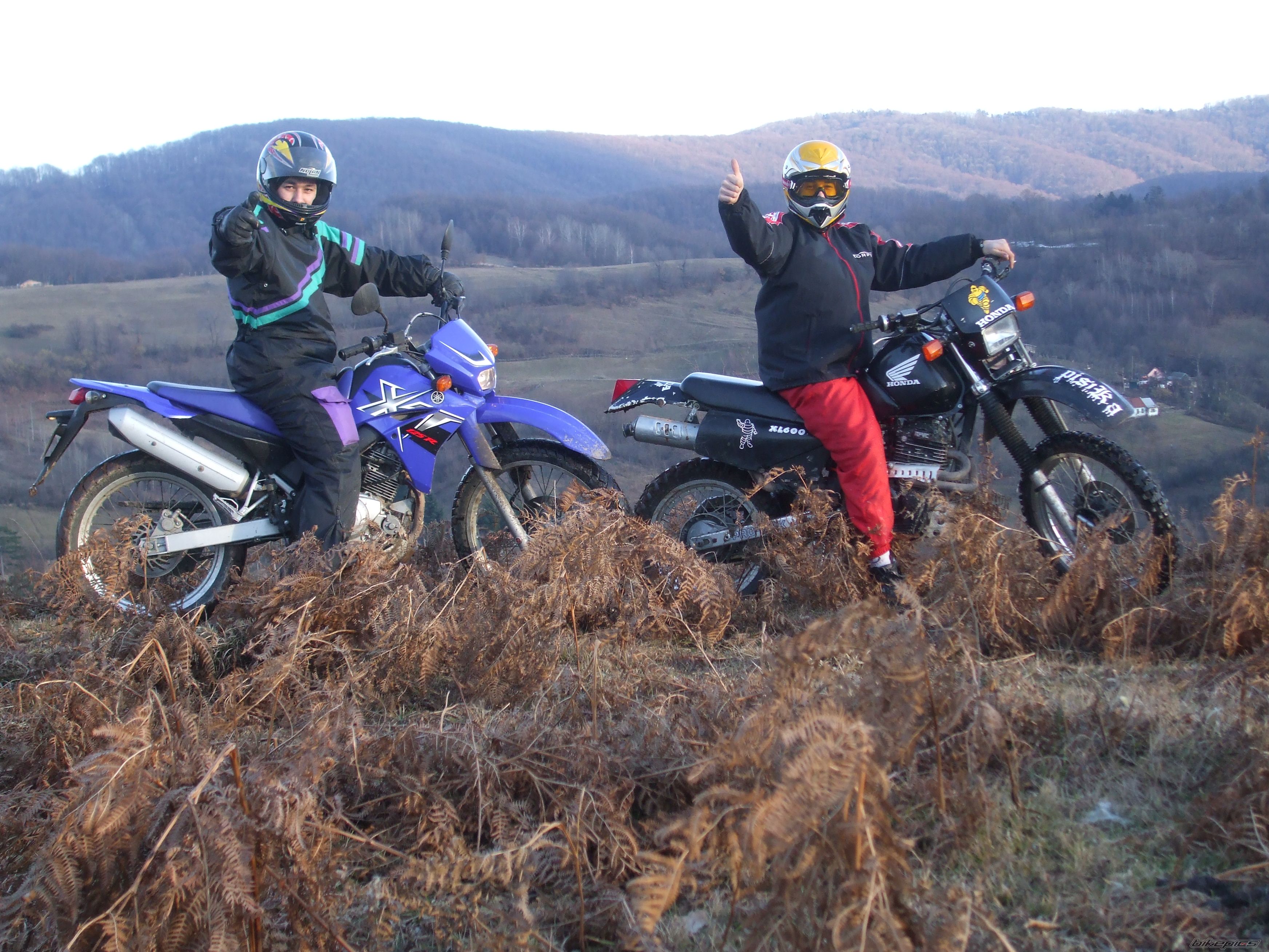 Photo 1172274