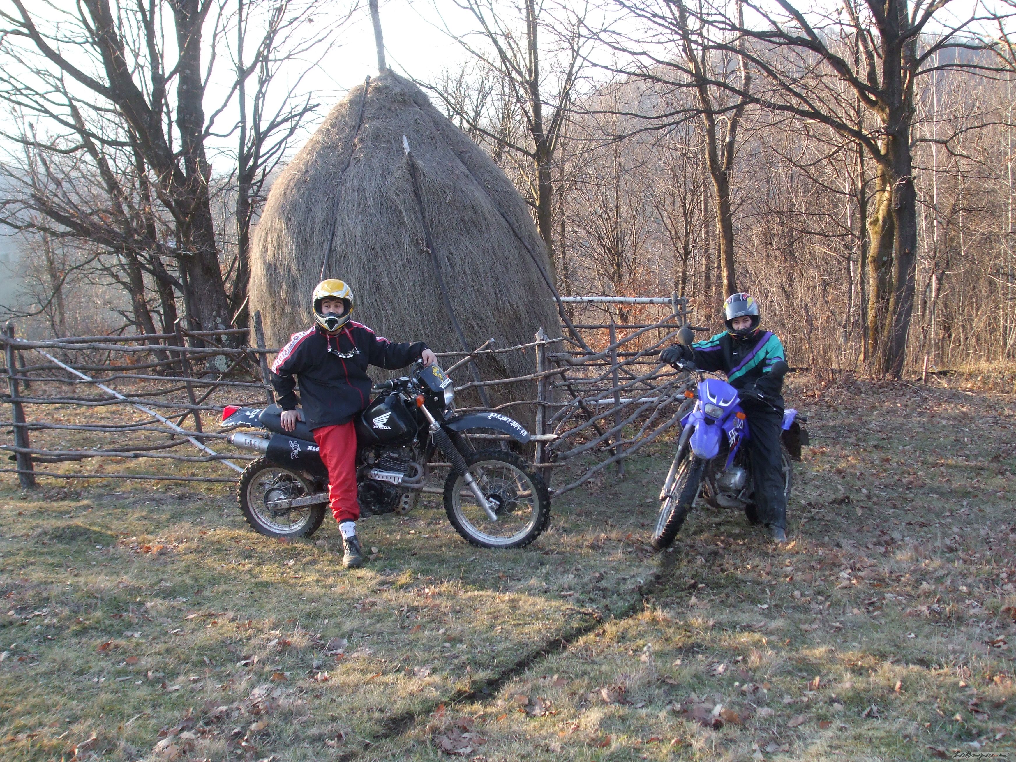 Photo 1172281