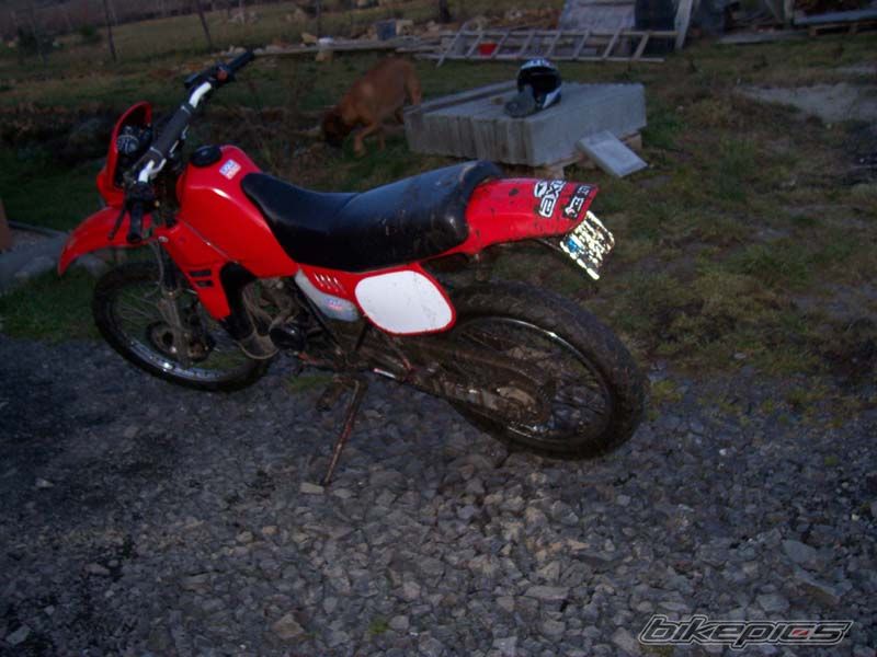 Bike Photo 1172289