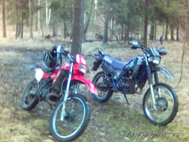 Photo 1172315
