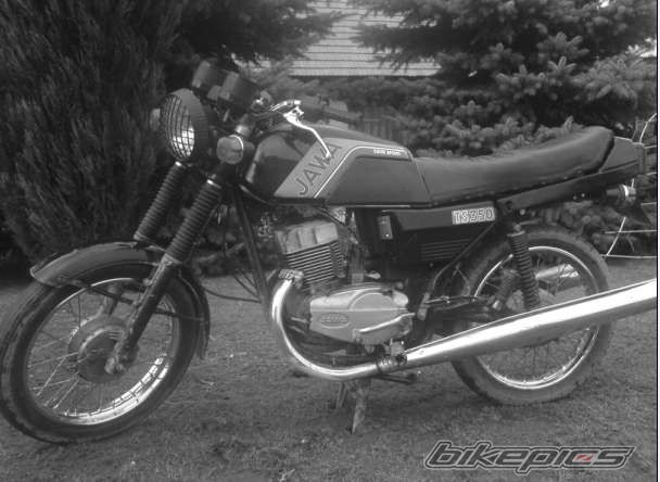 Photo 1172381