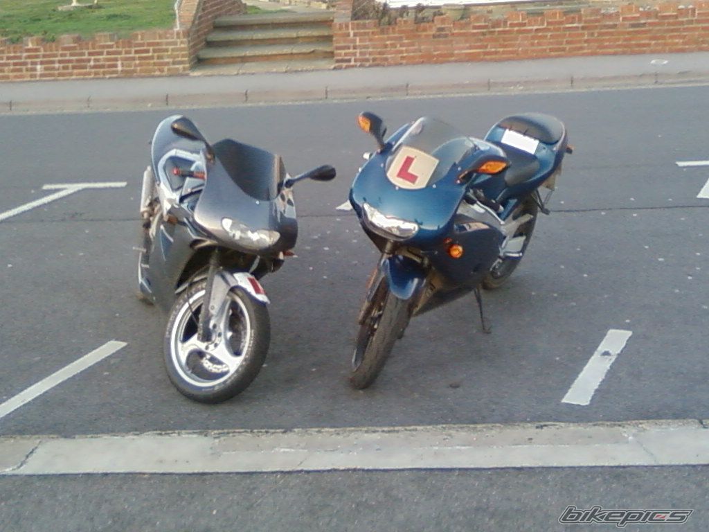 Photo 1172403