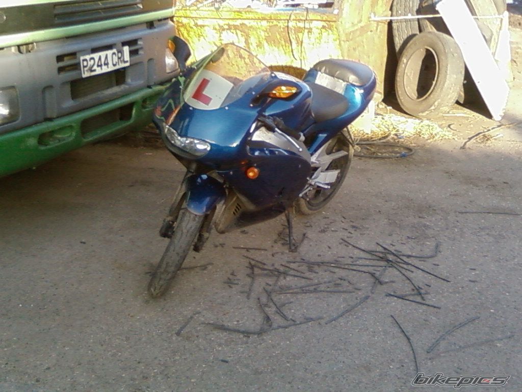 Photo 1172434